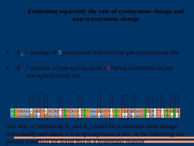 Estimating separately the rate of synonymous change and non-synonymous change • KS = number