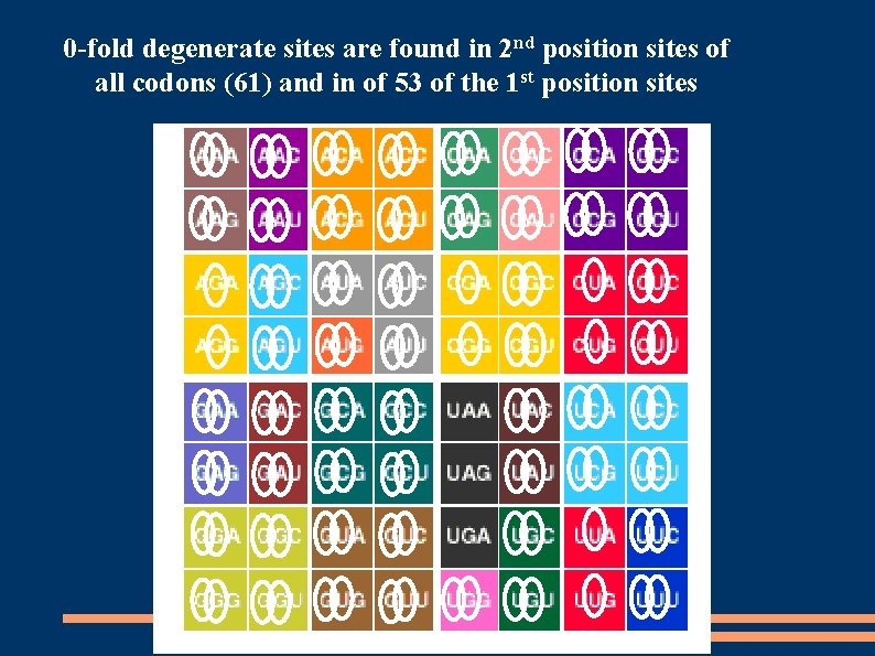 0 -fold degenerate sites are found in 2 nd position sites of all codons