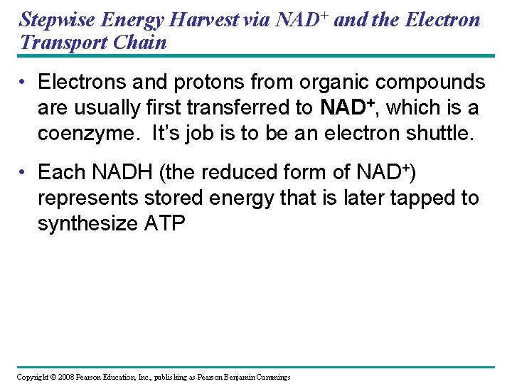 Stepwise Energy Harvest via NAD+ and the Electron Transport Chain • Electrons and protons