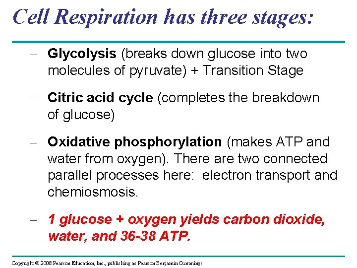 Cell Respiration has three stages: – Glycolysis (breaks down glucose into two molecules of