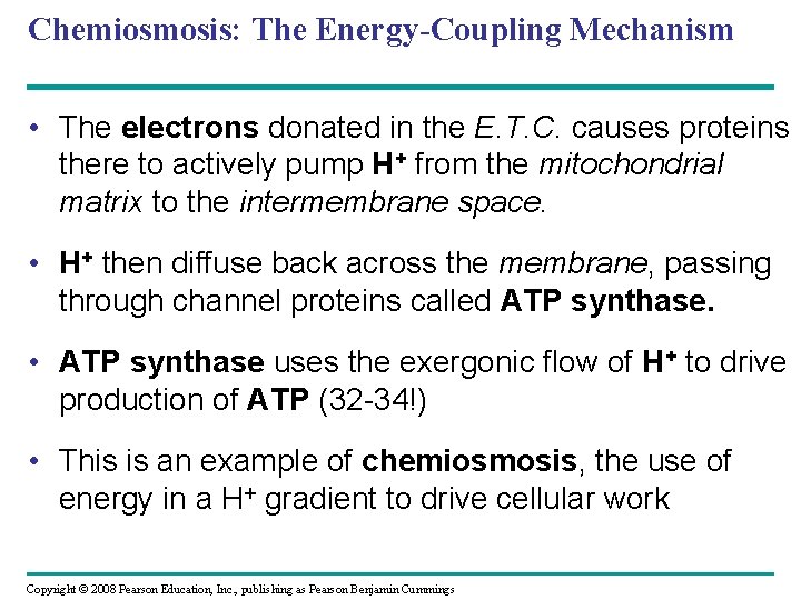 Chemiosmosis: The Energy-Coupling Mechanism • The electrons donated in the E. T. C. causes