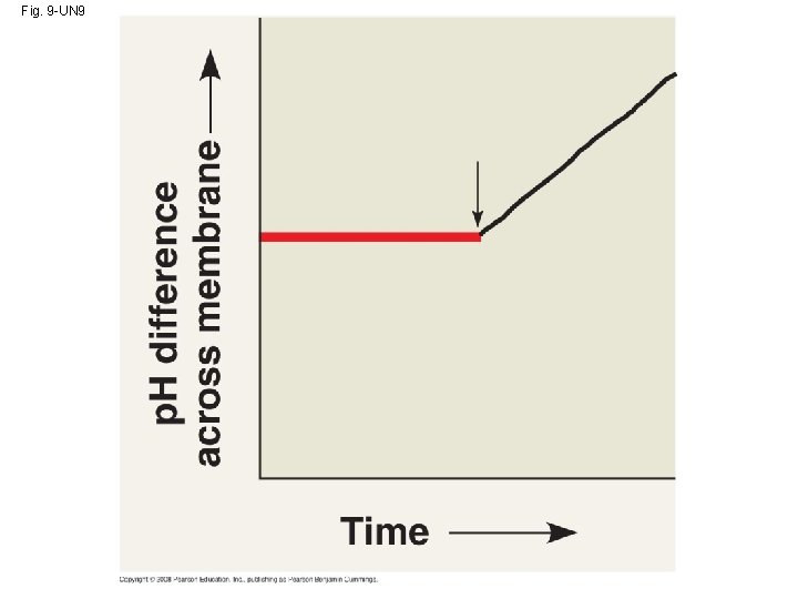 Fig. 9 -UN 9 