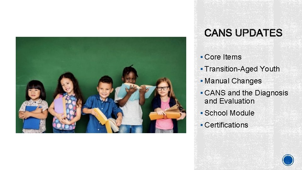 § Core Items § Transition-Aged Youth § Manual Changes § CANS and the Diagnosis