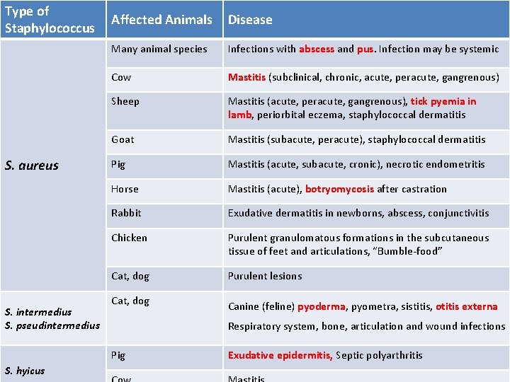 Type of Staphylococcus S. aureus S. intermedius S. pseudintermedius Affected Animals Disease Many animal