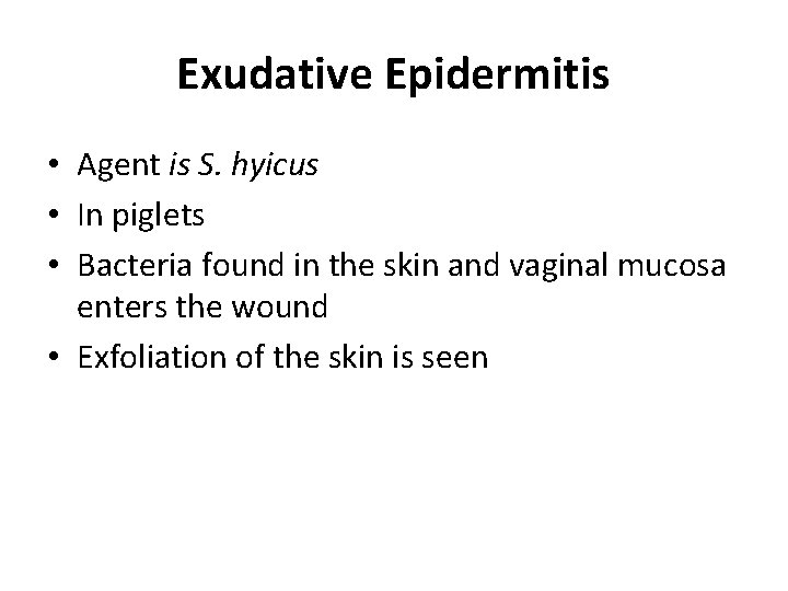 Exudative Epidermitis • Agent is S. hyicus • In piglets • Bacteria found in