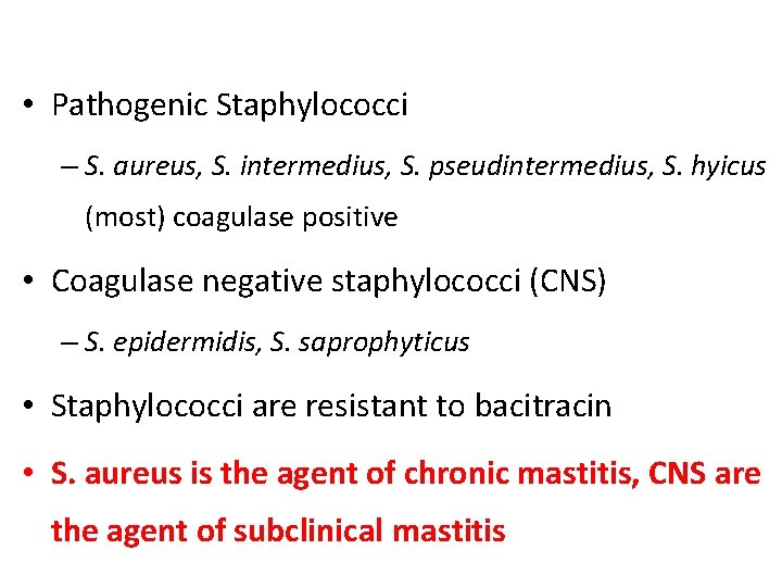  • Pathogenic Staphylococci – S. aureus, S. intermedius, S. pseudintermedius, S. hyicus (most)
