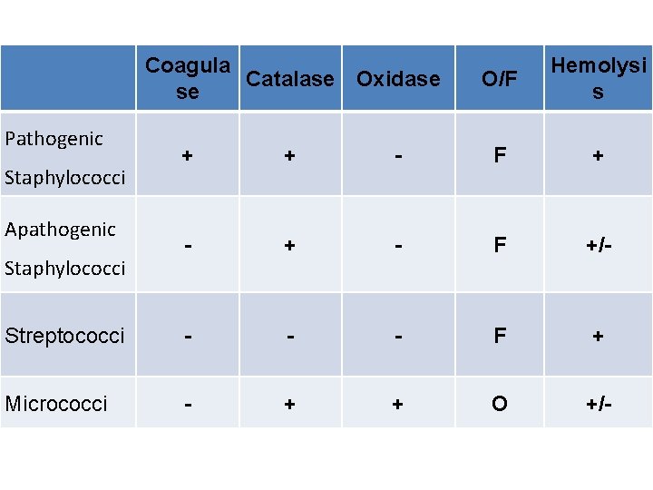 Coagula Catalase Oxidase se Pathogenic O/F Hemolysi s + + - F +/- Streptococci