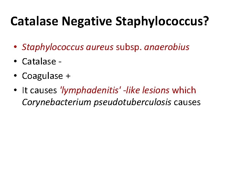 Catalase Negative Staphylococcus? • • Staphylococcus aureus subsp. anaerobius Catalase Coagulase + It causes