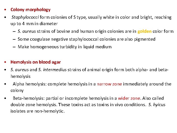  • Colony morphology • Staphylococci form colonies of S type, usually white in