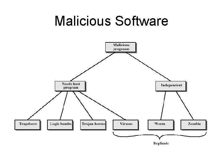 Malicious Software 