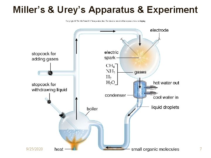 Miller’s & Urey’s Apparatus & Experiment 9/25/2020 7 Miller’s & Urey’s Apparatus & Experiment 9/25/2020 7