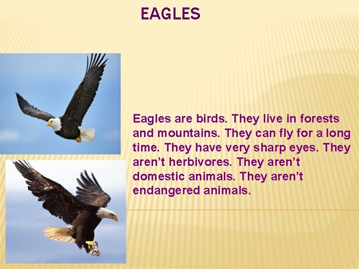 EAGLES Eagles are birds. They live in forests and mountains. They can fly for