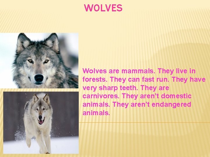 WOLVES Wolves are mammals. They live in forests. They can fast run. They have