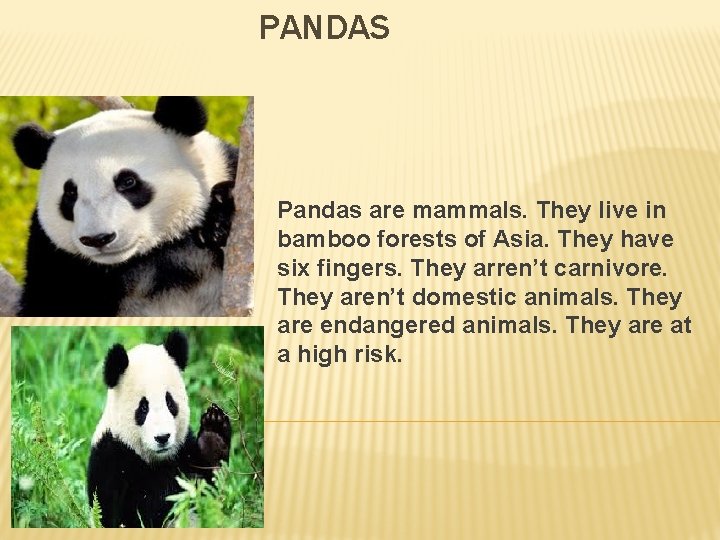 PANDAS Pandas are mammals. They live in bamboo forests of Asia. They have six