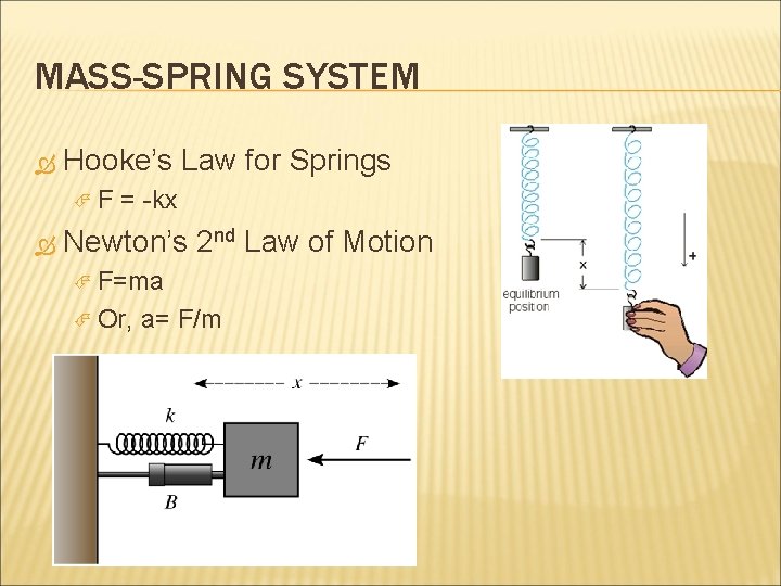 MASS-SPRING SYSTEM Hooke’s Law for Springs F = -kx Newton’s 2 nd Law of