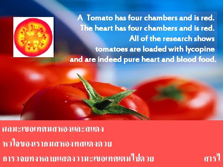 A Tomato has four chambers and is red. The heart has four chambers and