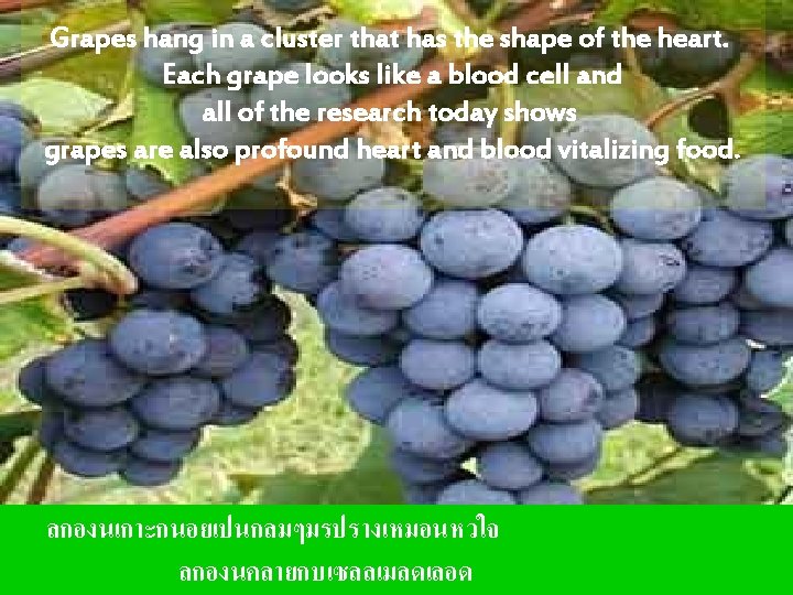 Grapes hang in a cluster that has the shape of the heart. Each grape