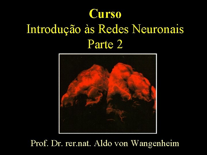 Curso Introdução às Redes Neuronais Parte 2 Prof. Dr. rer. nat. Aldo von Wangenheim