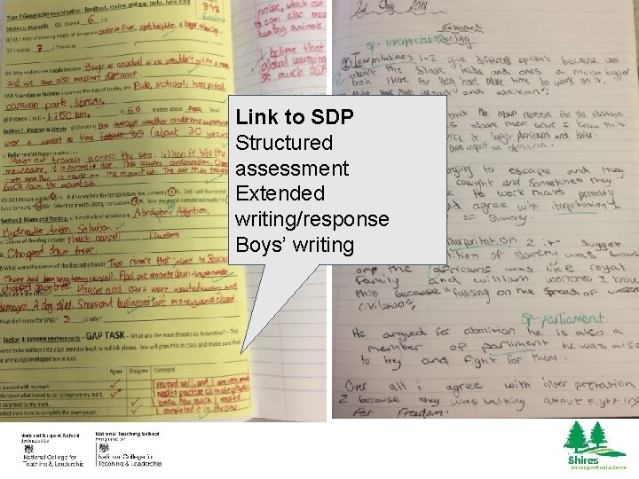 Link to SDP Structured assessment Extended writing/response Boys’ writing 