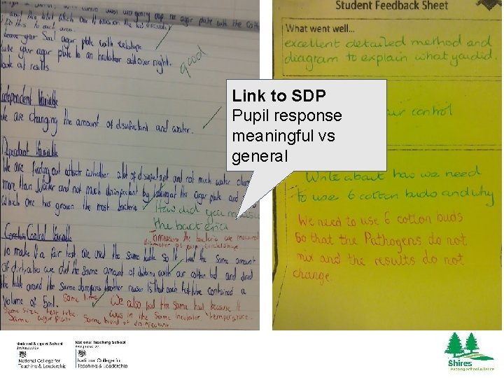 Link to SDP Pupil response meaningful vs general 