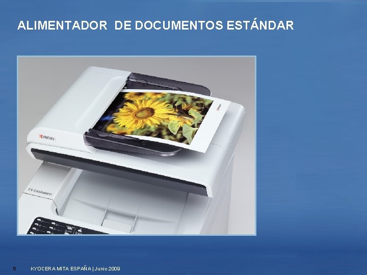 ALIMENTADOR DE DOCUMENTOS ESTÁNDAR 6 KYOCERA MITA ESPAÑA | Junio 2009 