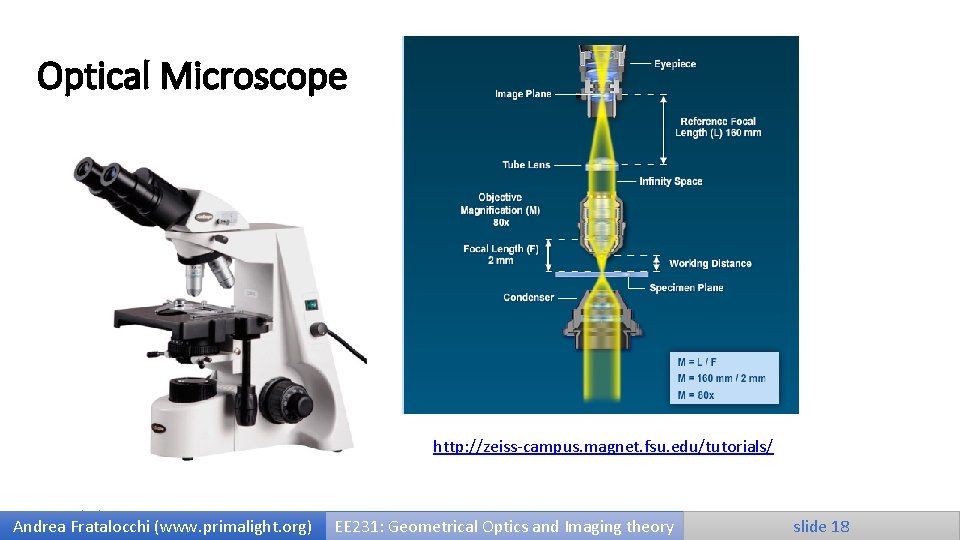 Optical Microscope http: //zeiss-campus. magnet. fsu. edu/tutorials/ 9/25/2020 Andrea Fratalocchi (www. primalight. org) EE