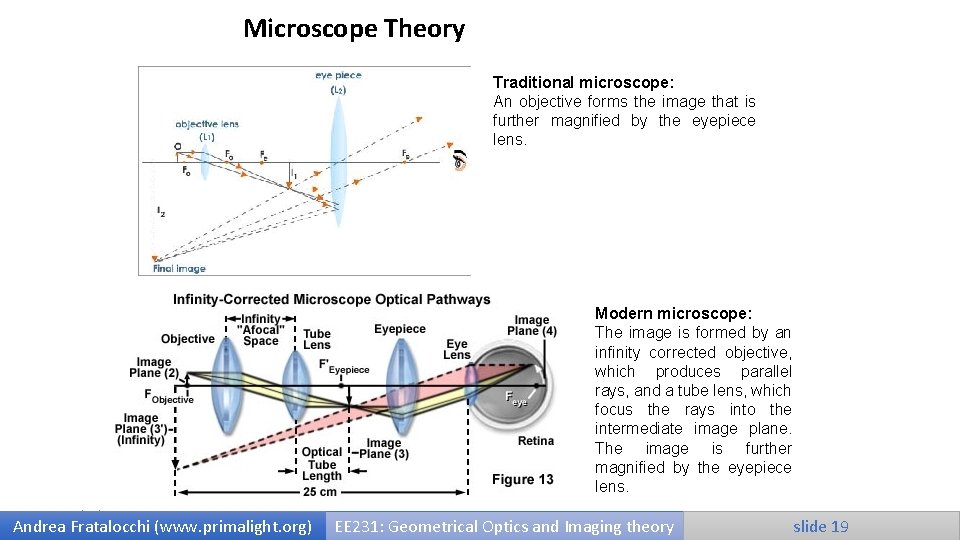 Microscope Theory Traditional microscope: An objective forms the image that is further magnified by