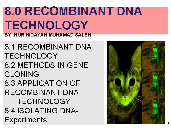 8. 0 RECOMBINANT DNA TECHNOLOGY BY: NUR HIDAYAH MUHAMAD SALEH 8. 1 RECOMBINANT DNA