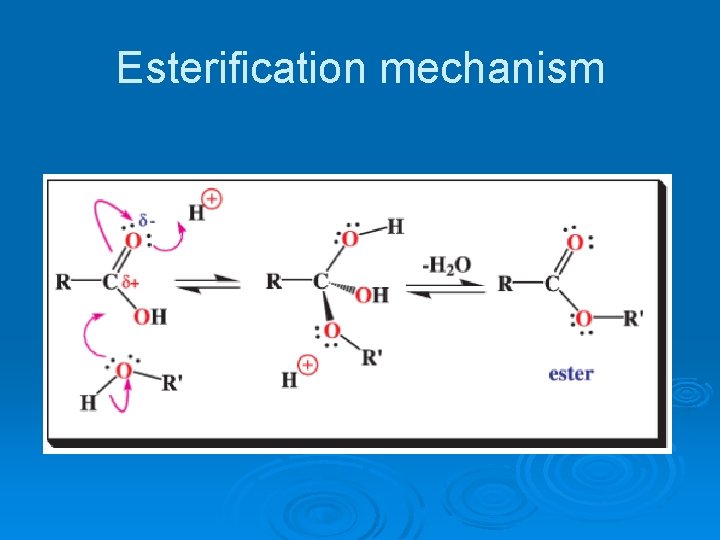 Esterification mechanism 