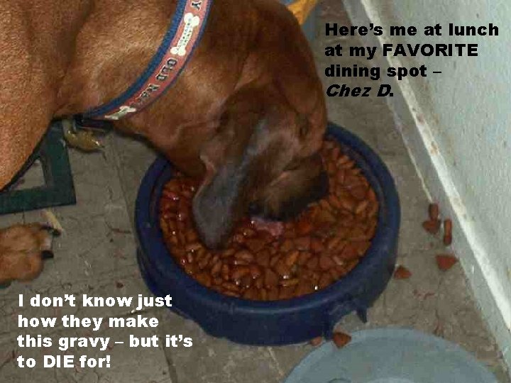 Here’s me at lunch at my FAVORITE dining spot – Chez D. I don’t