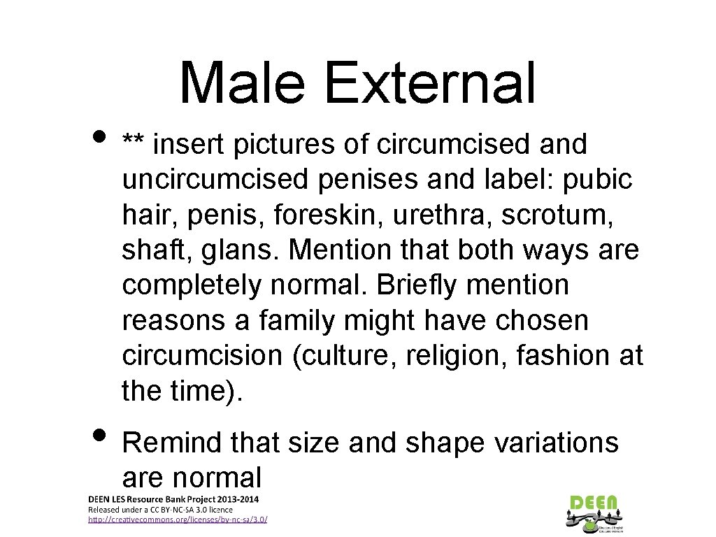 Male External • ** insert pictures of circumcised and uncircumcised penises and label: pubic