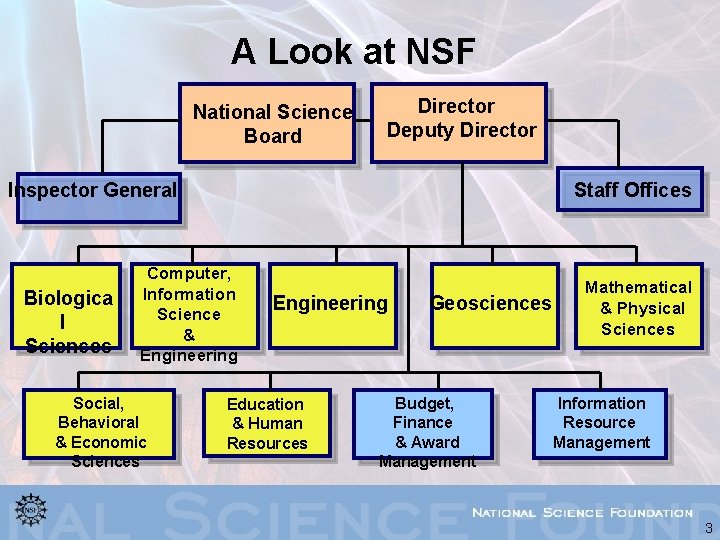 A Look at NSF National Science Board Director Deputy Director Inspector General Biologica l