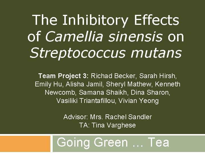 The Inhibitory Effects of Camellia sinensis on Streptococcus mutans Team Project 3: Richad Becker,