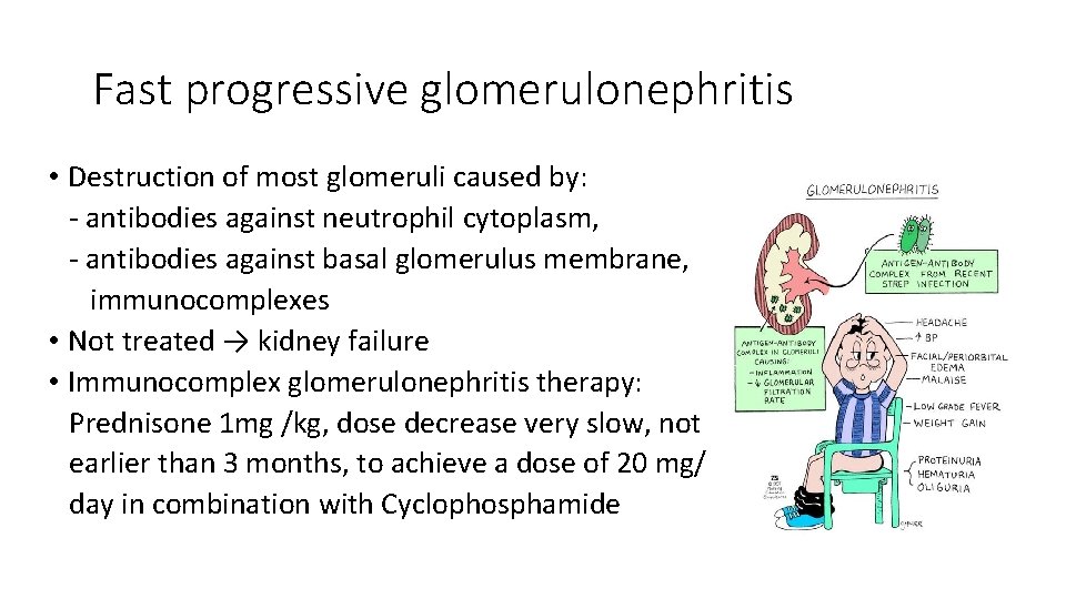  Fast progressive glomerulonephritis • Destruction of most glomeruli caused by: - antibodies against