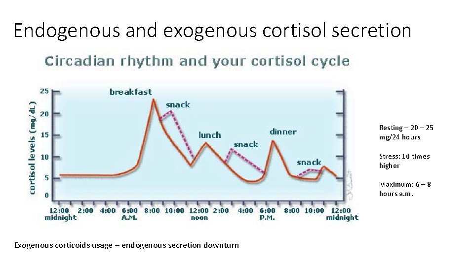 Endogenous and exogenous cortisol secretion Resting – 20 – 25 mg/24 hours Stress: 10
