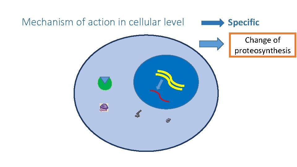 Mechanism of action in cellular level Specific Change of proteosynthesis 