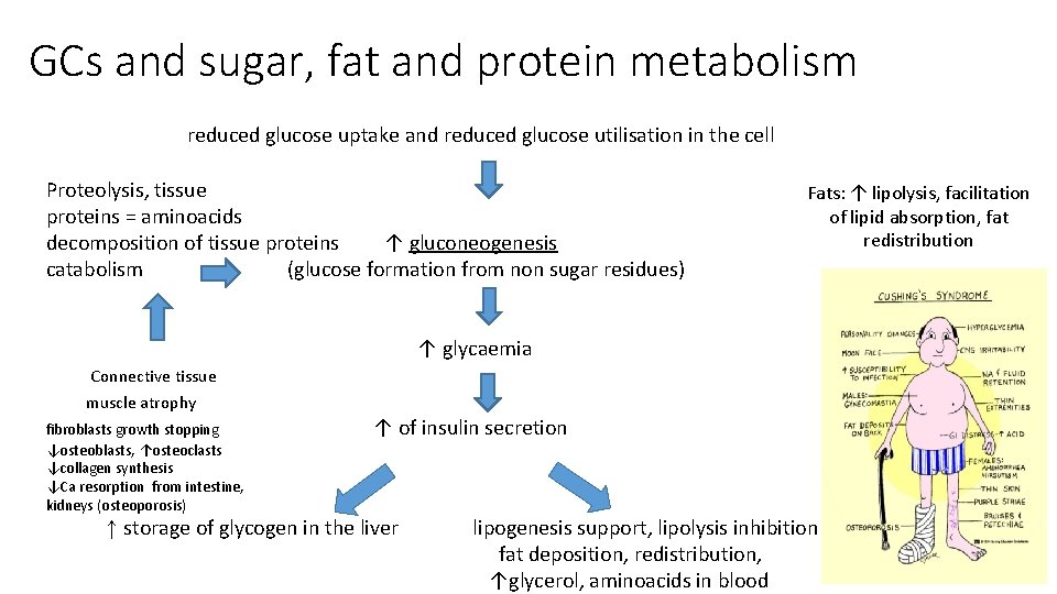 GCs and sugar, fat and protein metabolism reduced glucose uptake and reduced glucose utilisation