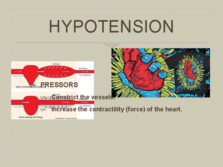 HYPOTENSION PRESSORS Constrict the vessels. Increase the contractility (force) of the heart. 