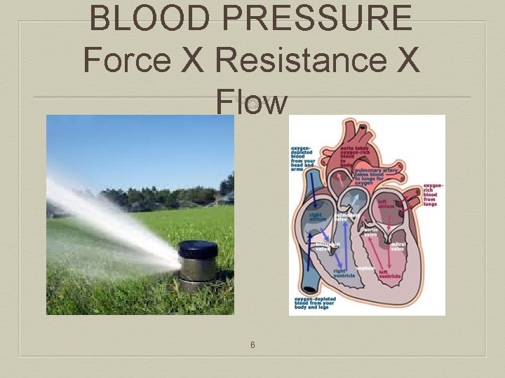 BLOOD PRESSURE Force X Resistance X Flow 6 