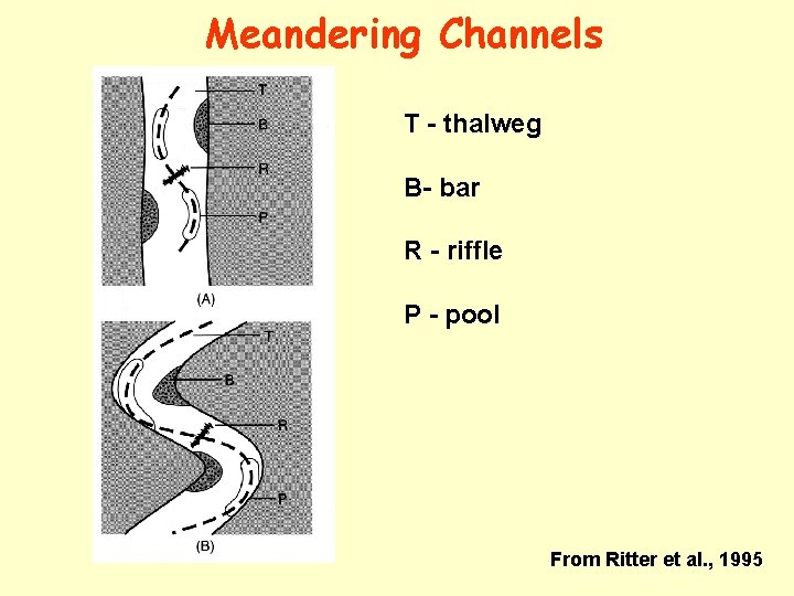 Meandering Channels T - thalweg B- bar R - riffle P - pool From