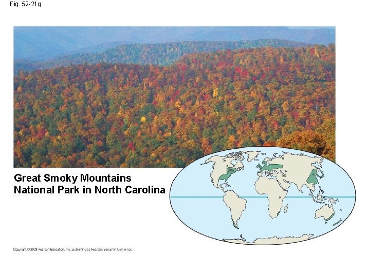 Fig. 52 -21 g Great Smoky Mountains National Park in North Carolina 