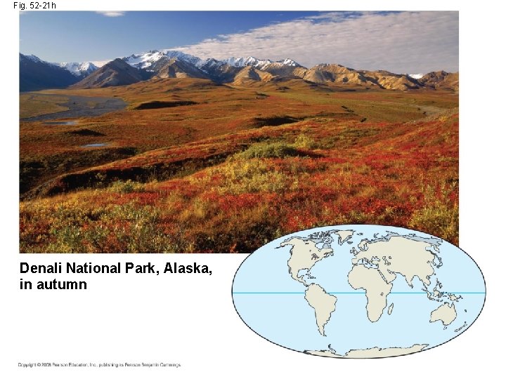 Fig. 52 -21 h Denali National Park, Alaska, in autumn 