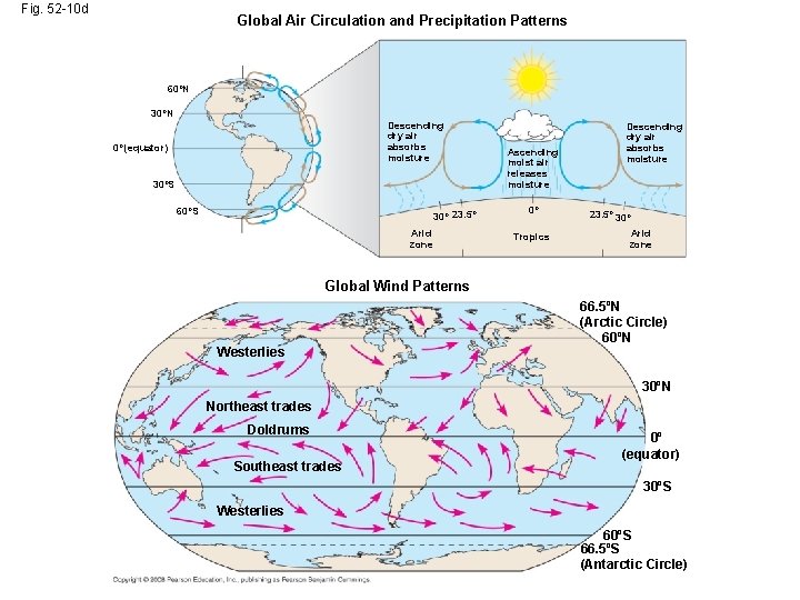 Fig. 52 -10 d Global Air Circulation and Precipitation Patterns 60ºN 30ºN Descending dry