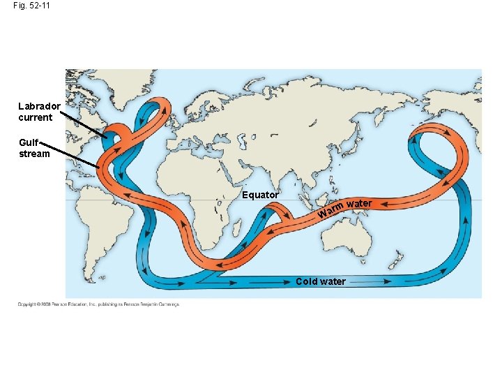 Fig. 52 -11 Labrador current Gulf stream Equator water rm a W Cold water