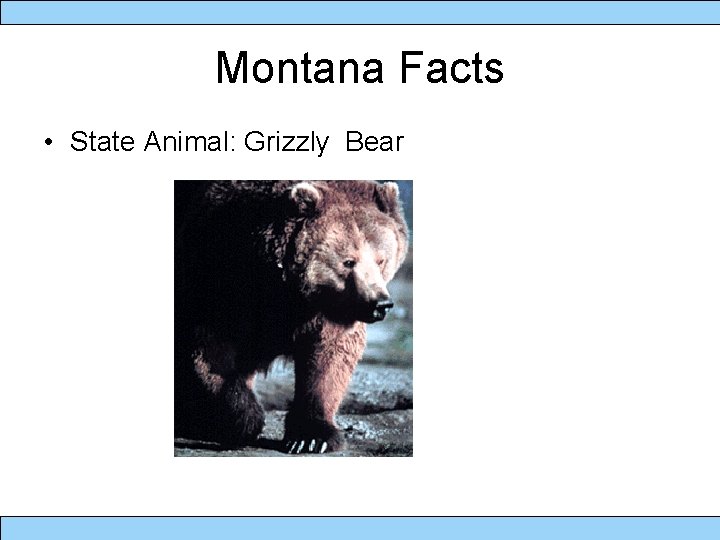 Montana Facts • State Animal: Grizzly Bear 
