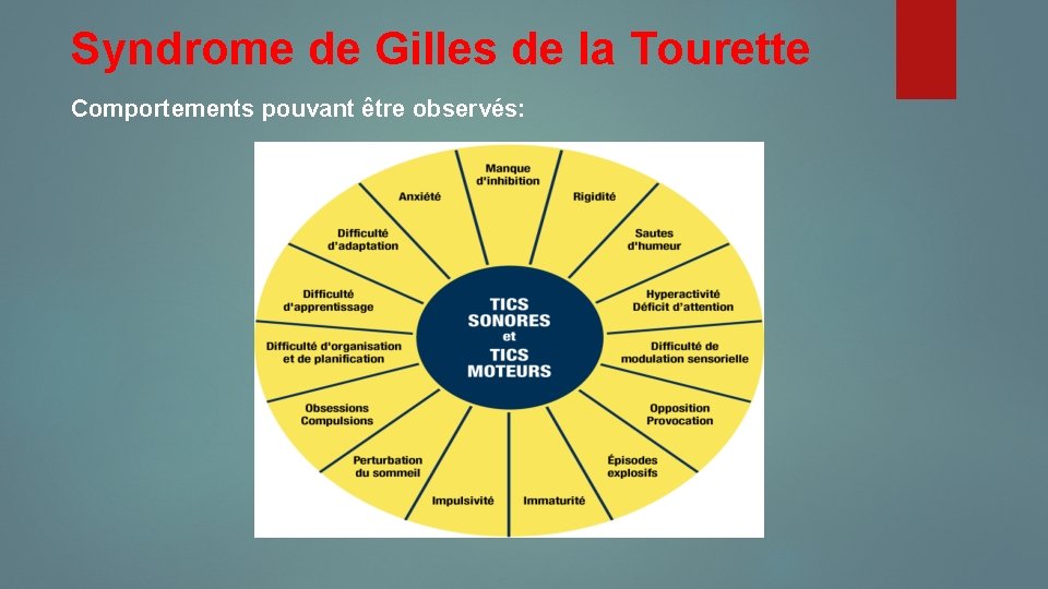 Syndrome de Gilles de la Tourette Comportements pouvant être observés: 