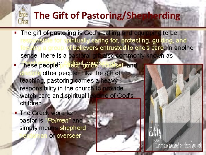 The Gift of Pastoring/Shepherding § The gift of pastoring is God’s calling and equipping