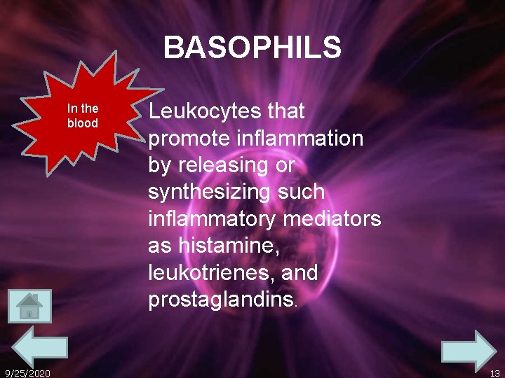 BASOPHILS In the blood 9/25/2020 Leukocytes that promote inflammation by releasing or synthesizing such