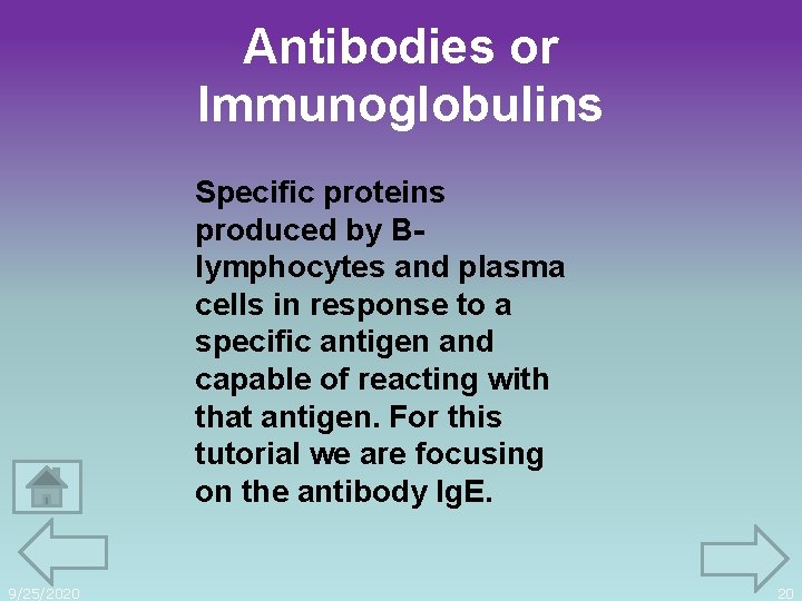 Antibodies or Immunoglobulins Specific proteins produced by Blymphocytes and plasma cells in response to