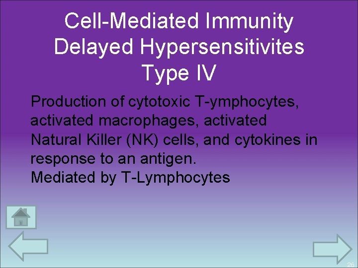 Cell-Mediated Immunity Delayed Hypersensitivites Type IV Production of cytotoxic T-ymphocytes, activated macrophages, activated Natural